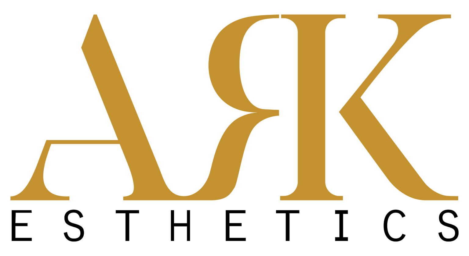 Ark Logo Black
